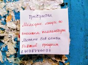 О трудоустройстве