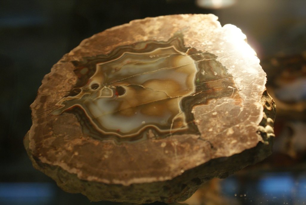 Коллекция агатов из Республиканского геологического музея. 