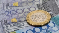 ГОСУДАРСТВЕННЫЕ ГРАНТЫ ДЛЯ НПО