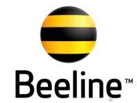 Beeline Казахстан и Visa заключили соглашение о партнерстве