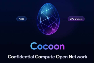 Павел Дуров запустил Cocoon — альтернативу Amazon и Microsoft